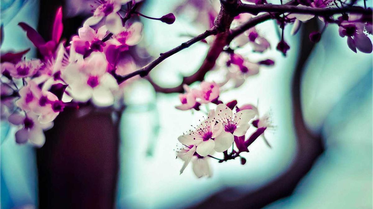 Drogenfund Rosenheim