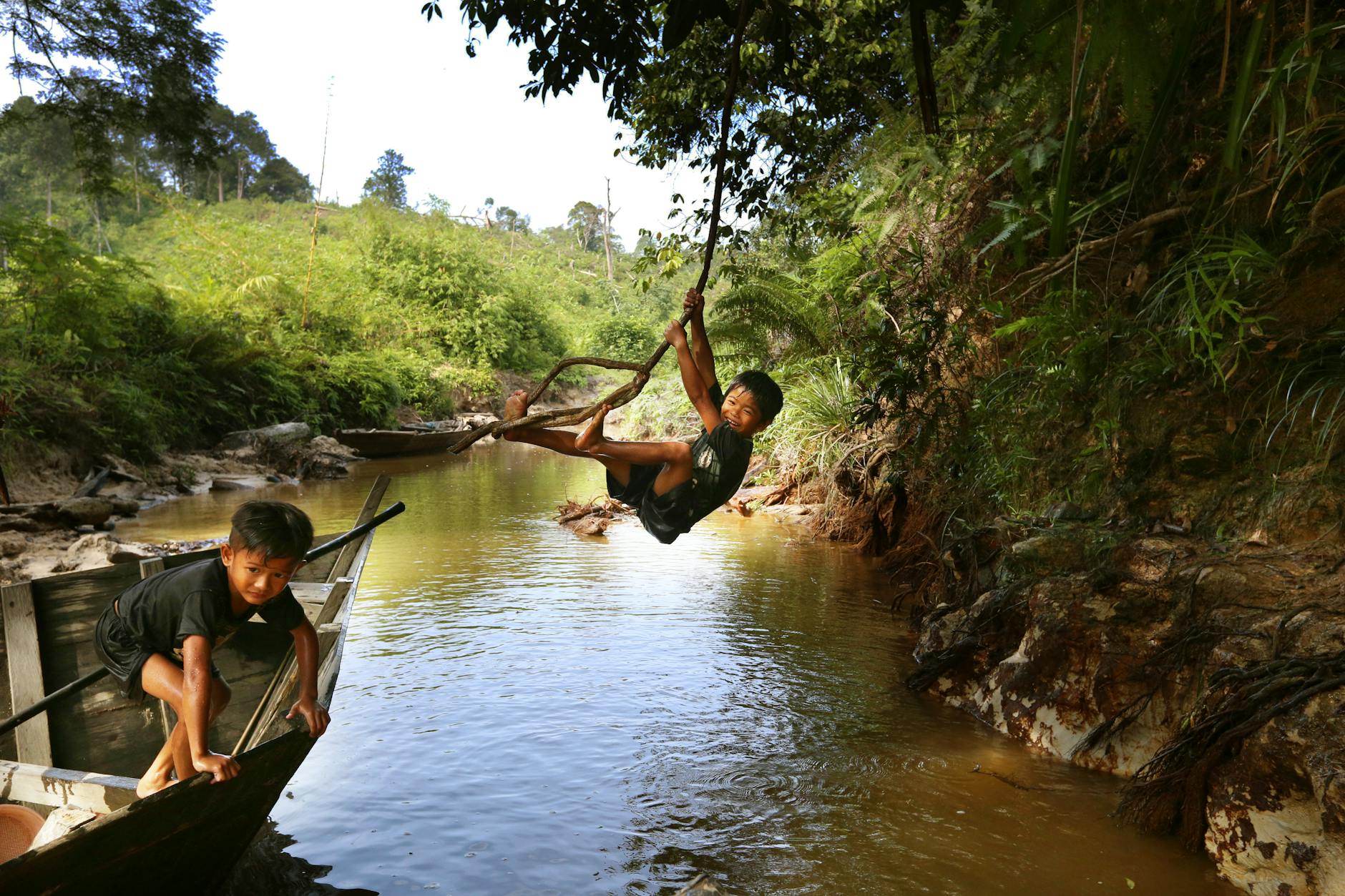 Symbolbild zum Thema Dschungelcamp 2026