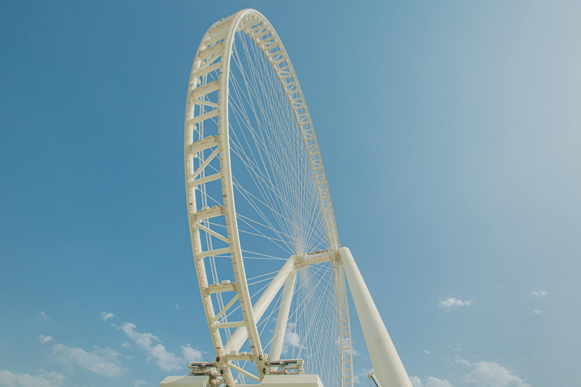 Illustration zu Dubai Haustiere Zurückgelassen