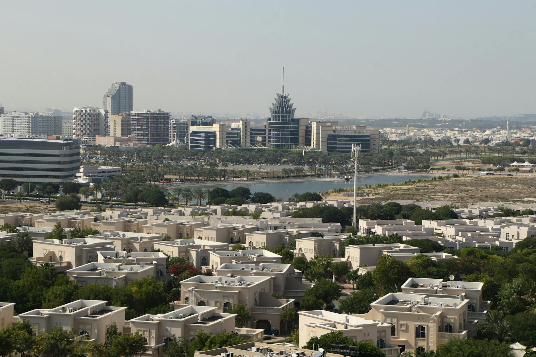 Detailansicht: Dubai Haustiere Zurückgelassen