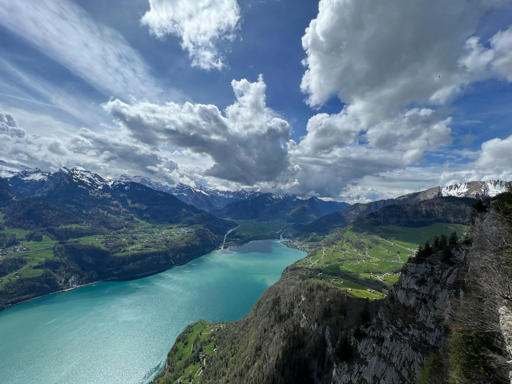 Detailansicht: Dumper Randale ST Gallen