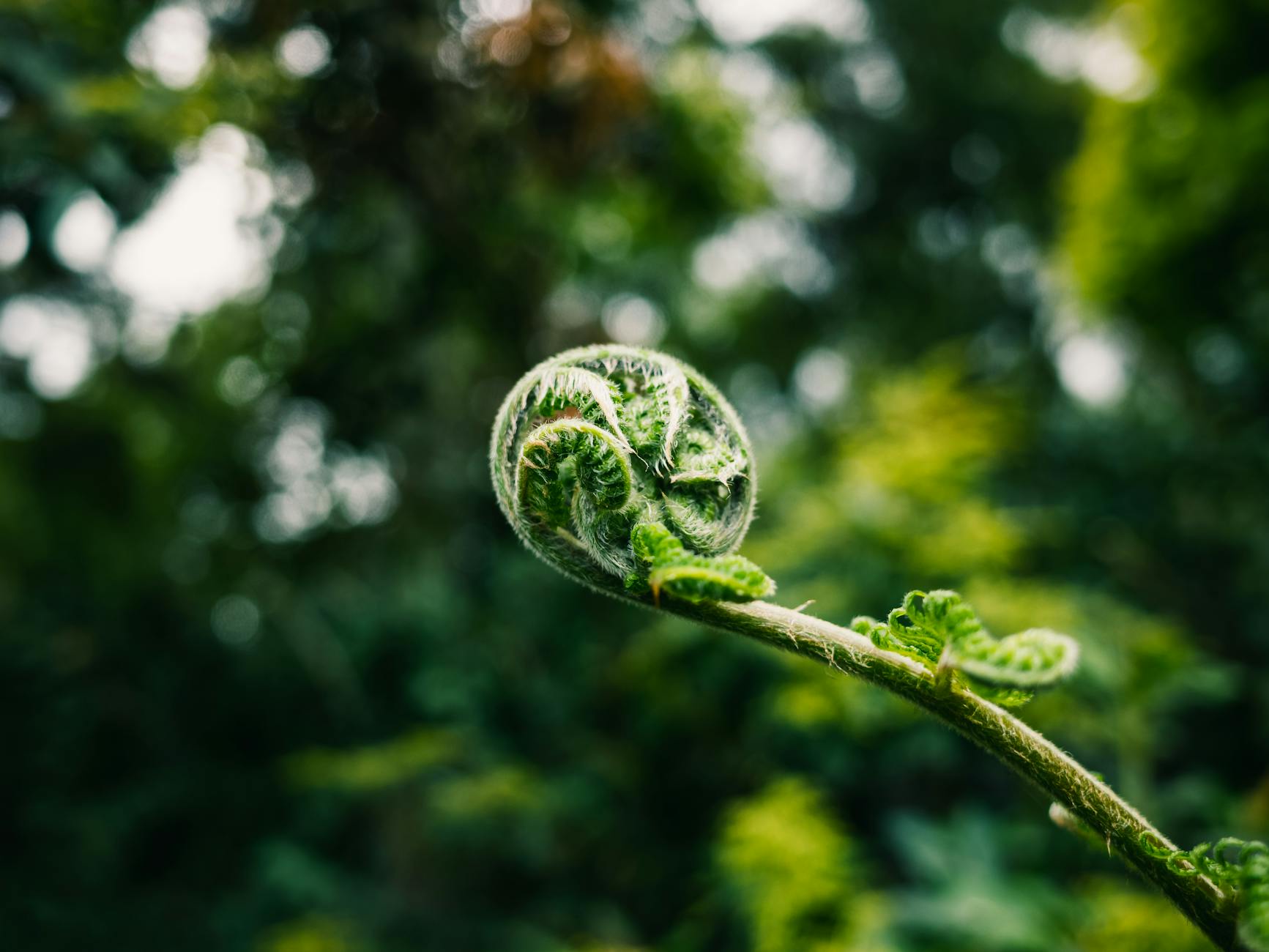 DZ Bank Gewinn Illustration zu DZ Bank Gewinn