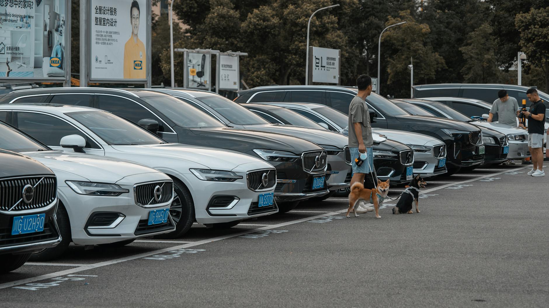 Symbolbild zum Thema E Autos China