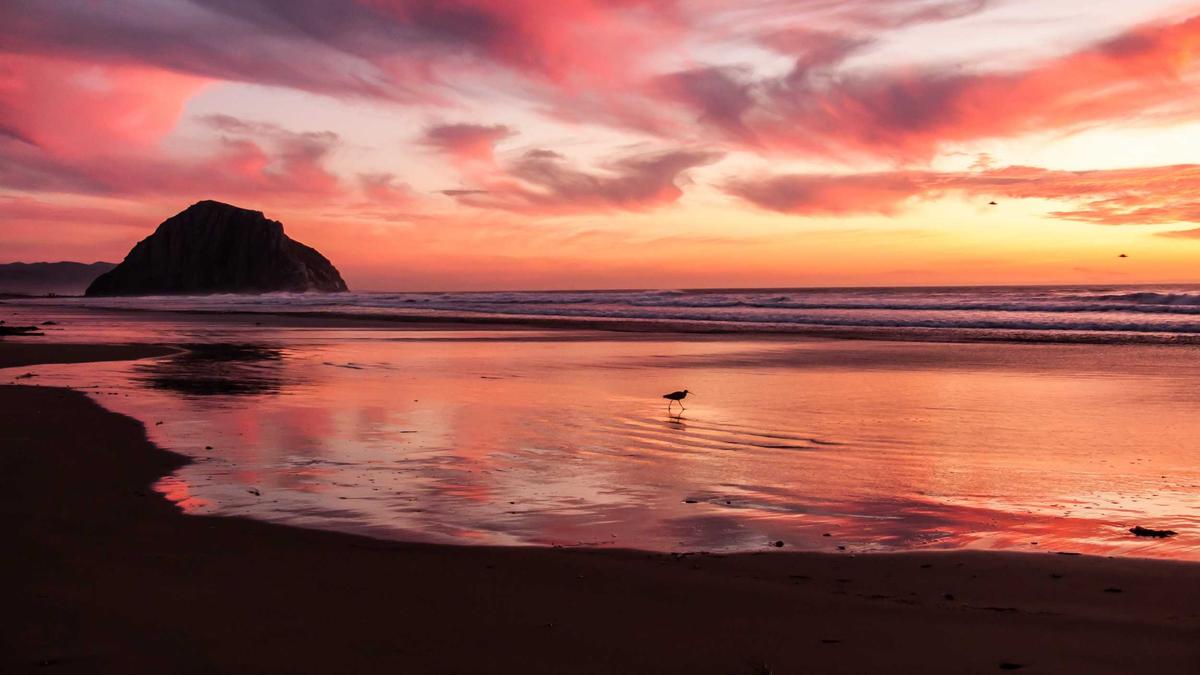 Illustration zu Ehefrau Mord Urteil