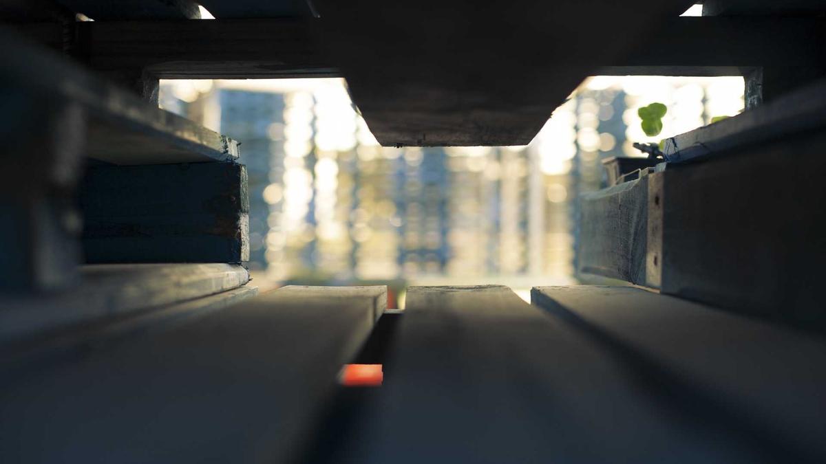 Detailansicht: Einbürgerung Toter