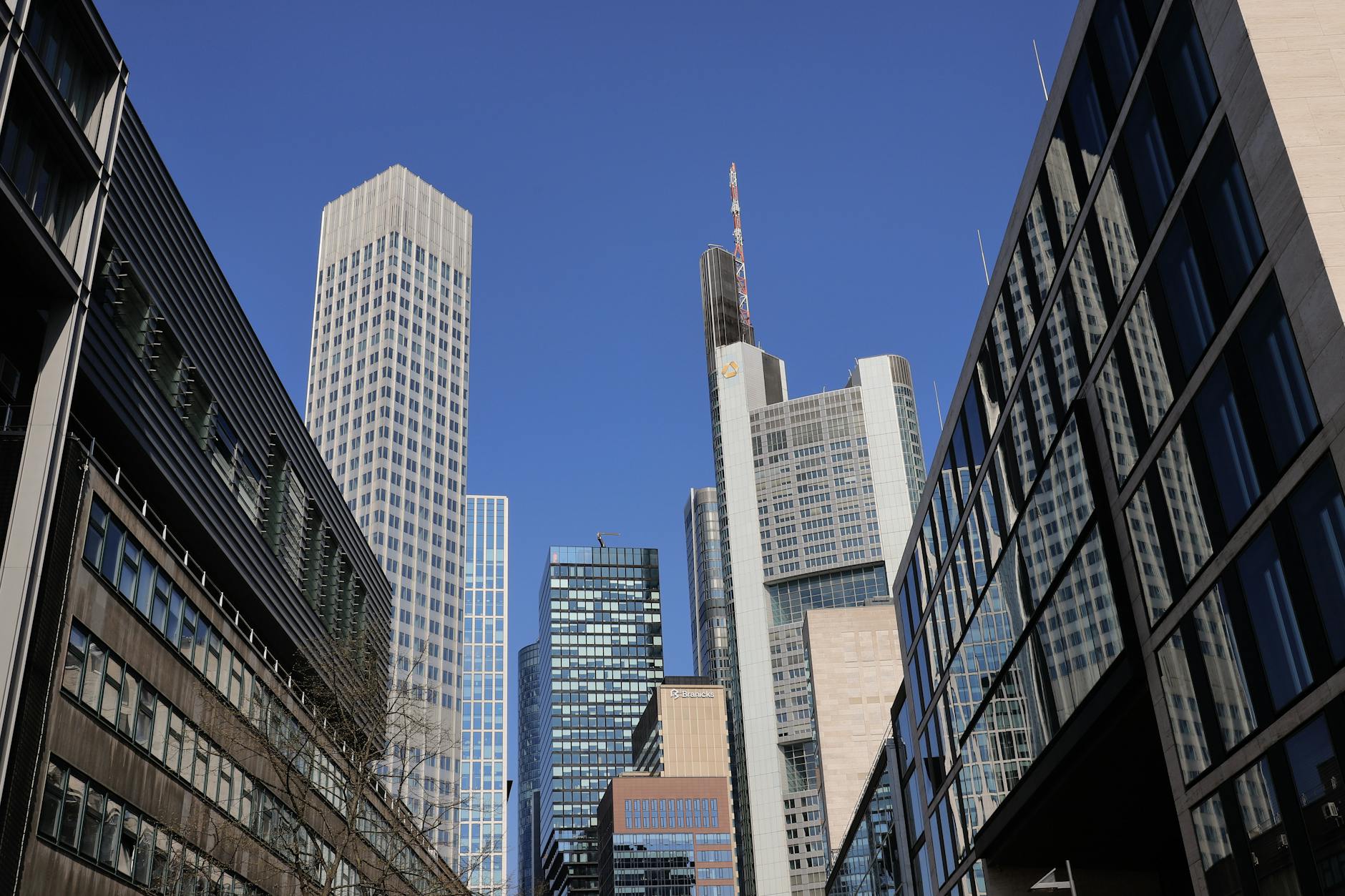 Eintracht Frankfurt – Köln Detailansicht: Eintracht Frankfurt – Köln