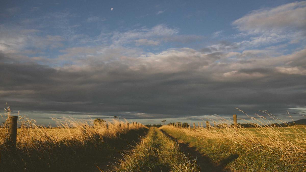 Eisbachwelle München Detailansicht: Eisbachwelle München