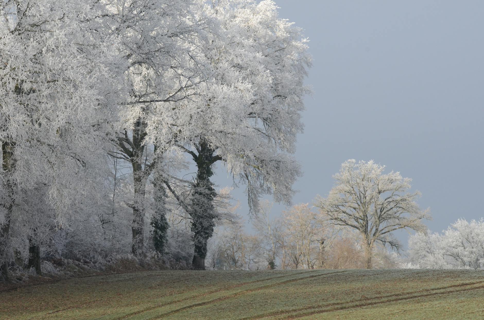 Detailansicht: Eisheiligen Wetter