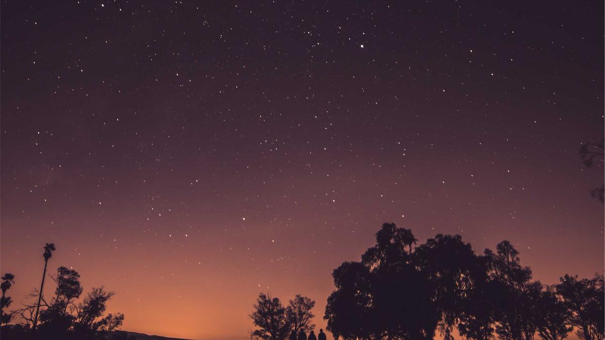 El Mencho Verhaftung Detailansicht: El Mencho Verhaftung