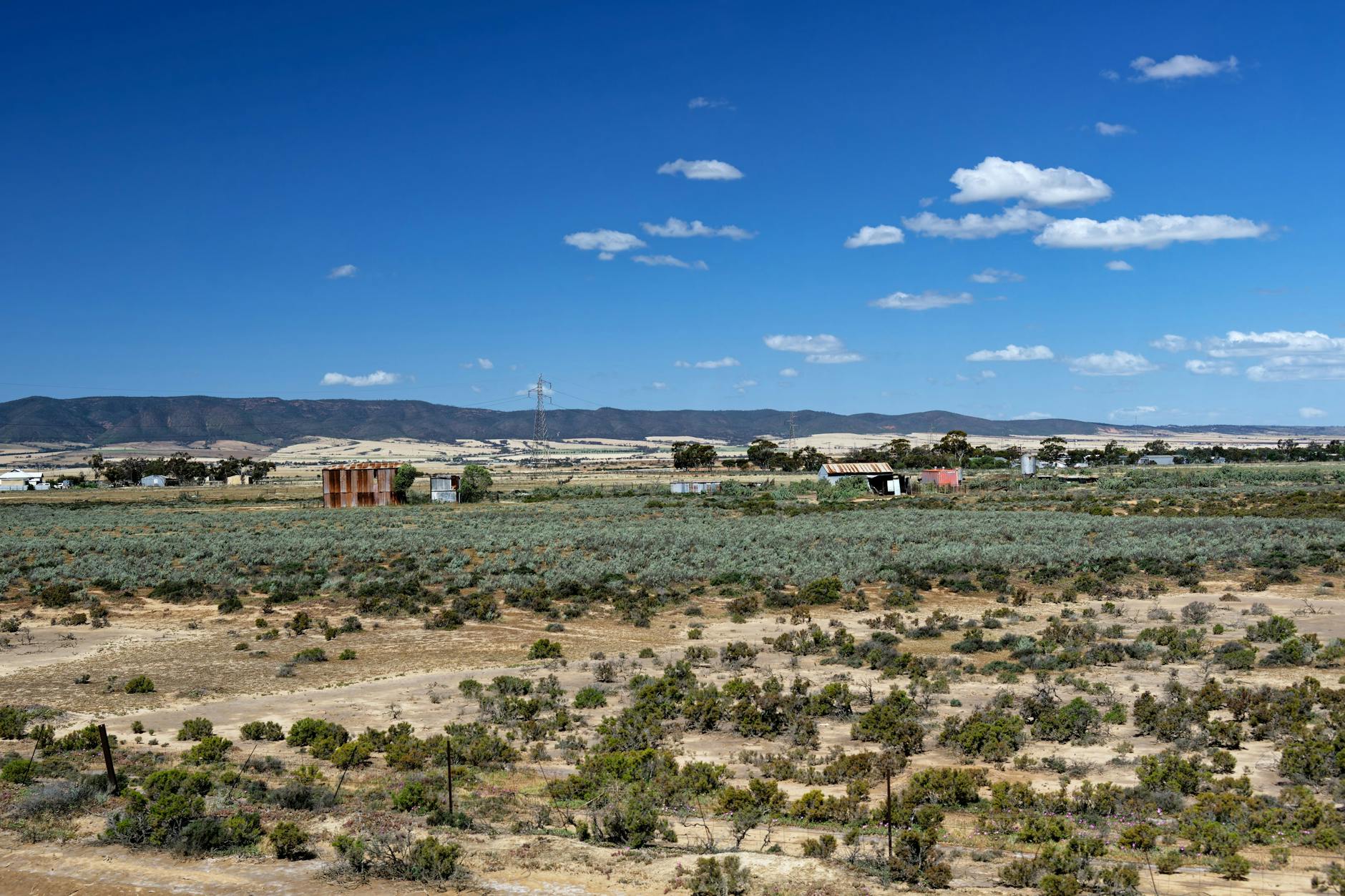 Eliza Spencer Detailansicht: Eliza Spencer