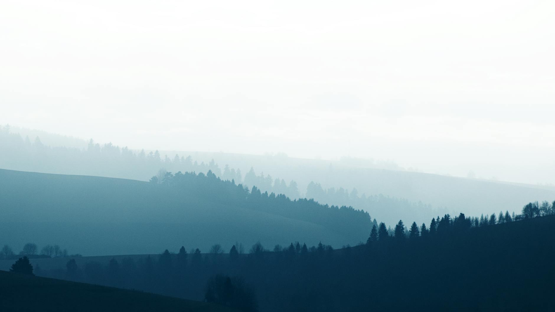 Erik Lesser Illustration zu Erik Lesser