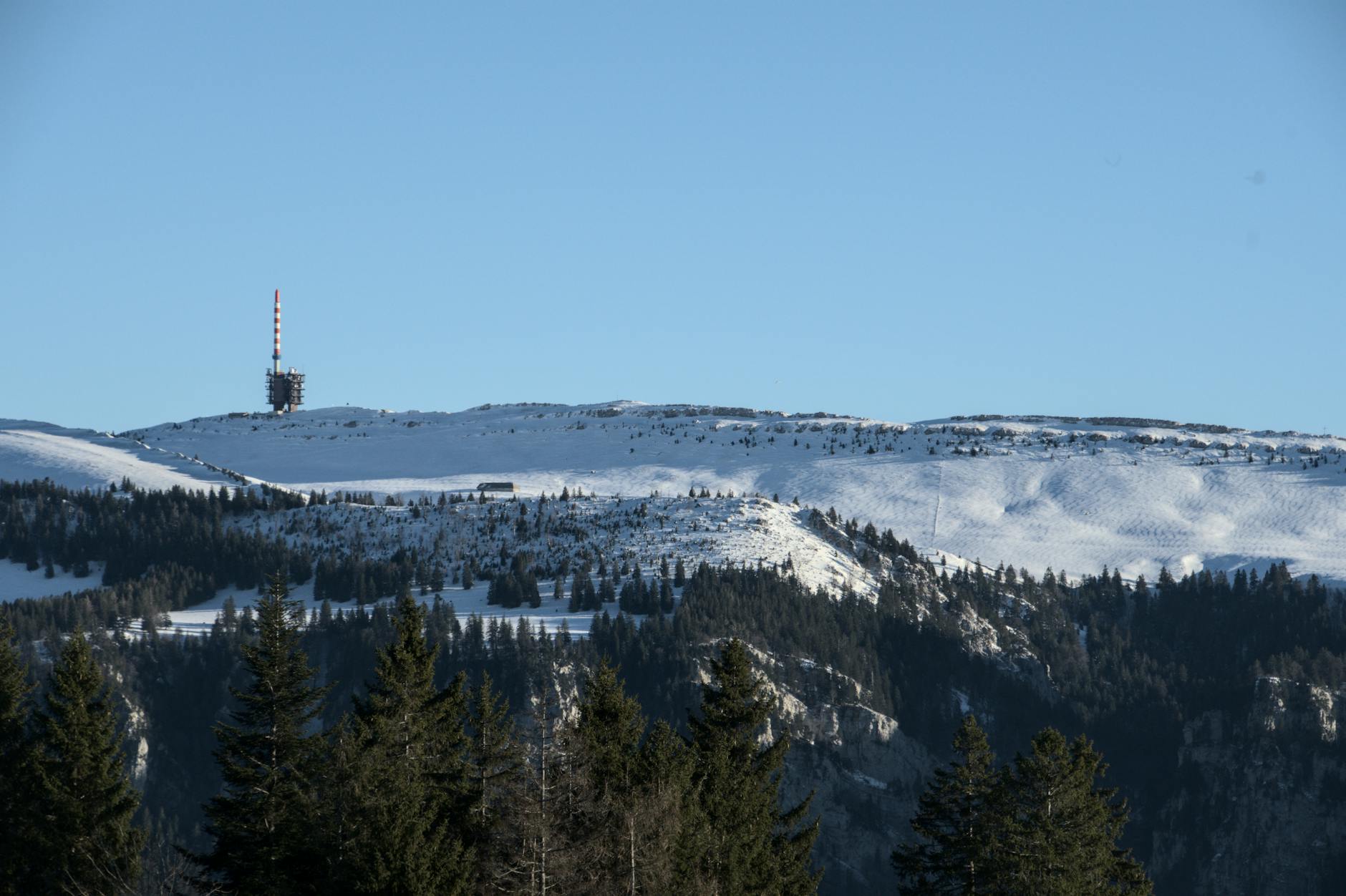 Europäischer Notruftag Illustration zu Europäischer Notruftag