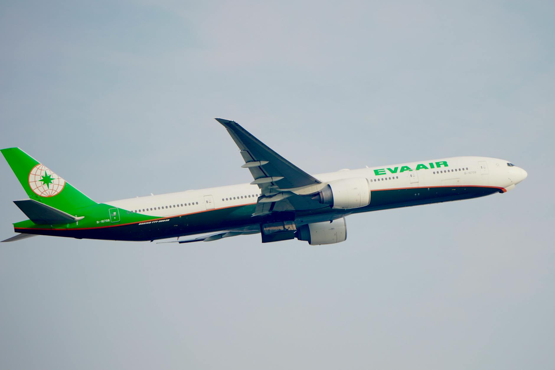 Eva Mattes Illustration zu Eva Mattes