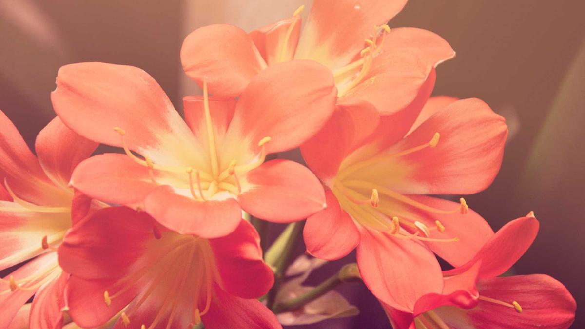 Symbolbild zum Thema Expats Zürich Immobilien