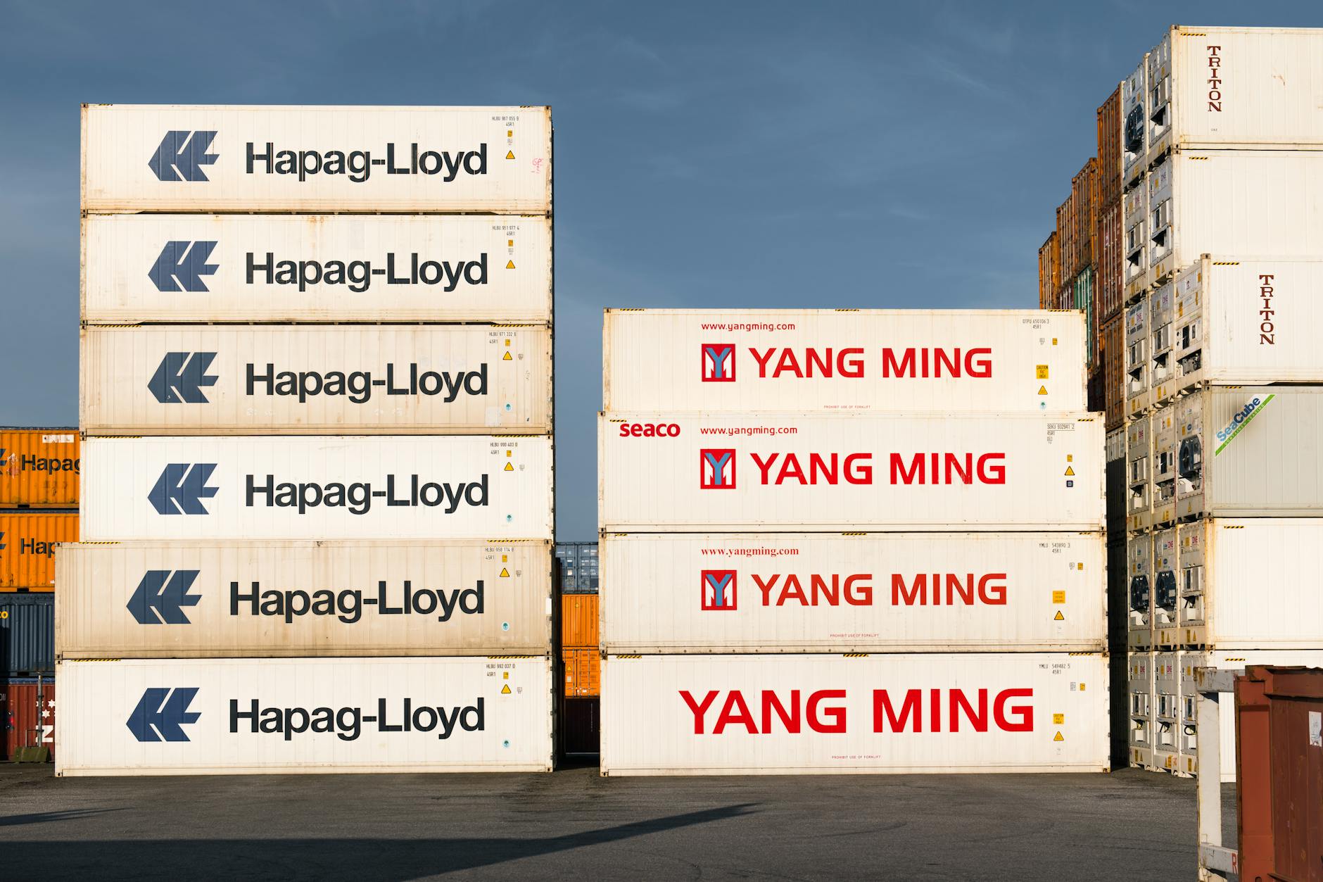 Illustration zu Export Erwartungen