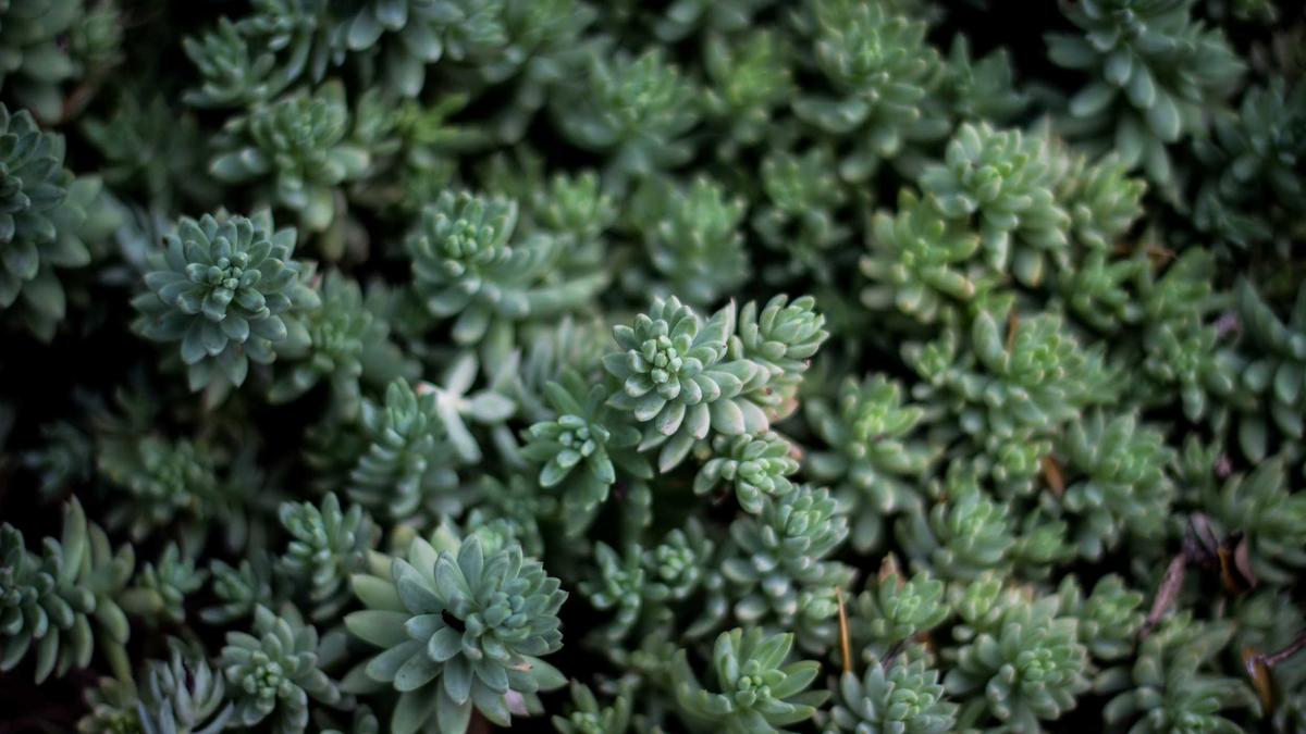 Illustration zu Fahrraddiebstahl Biberach