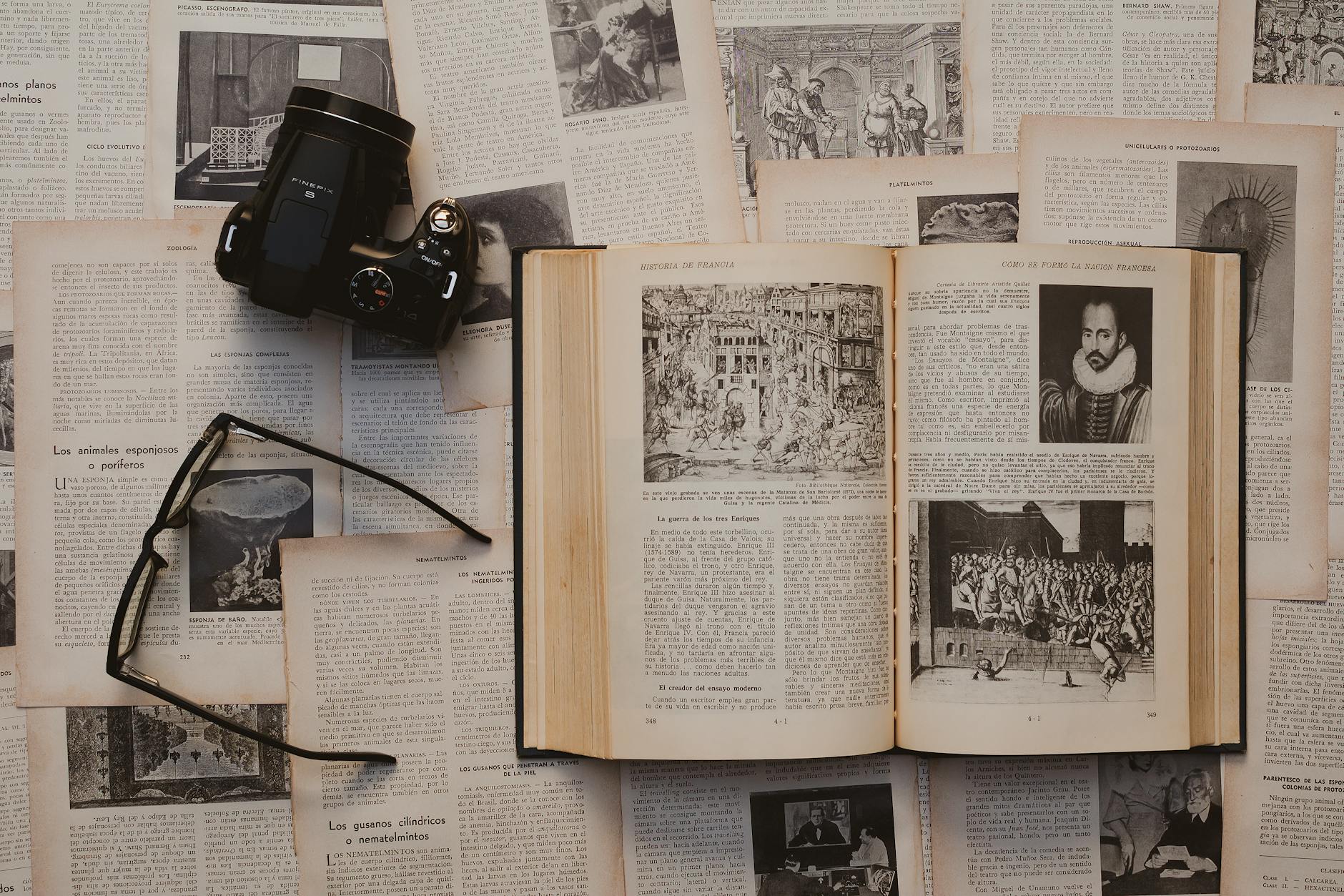 Fall Einer Illustration zu Fall Einer