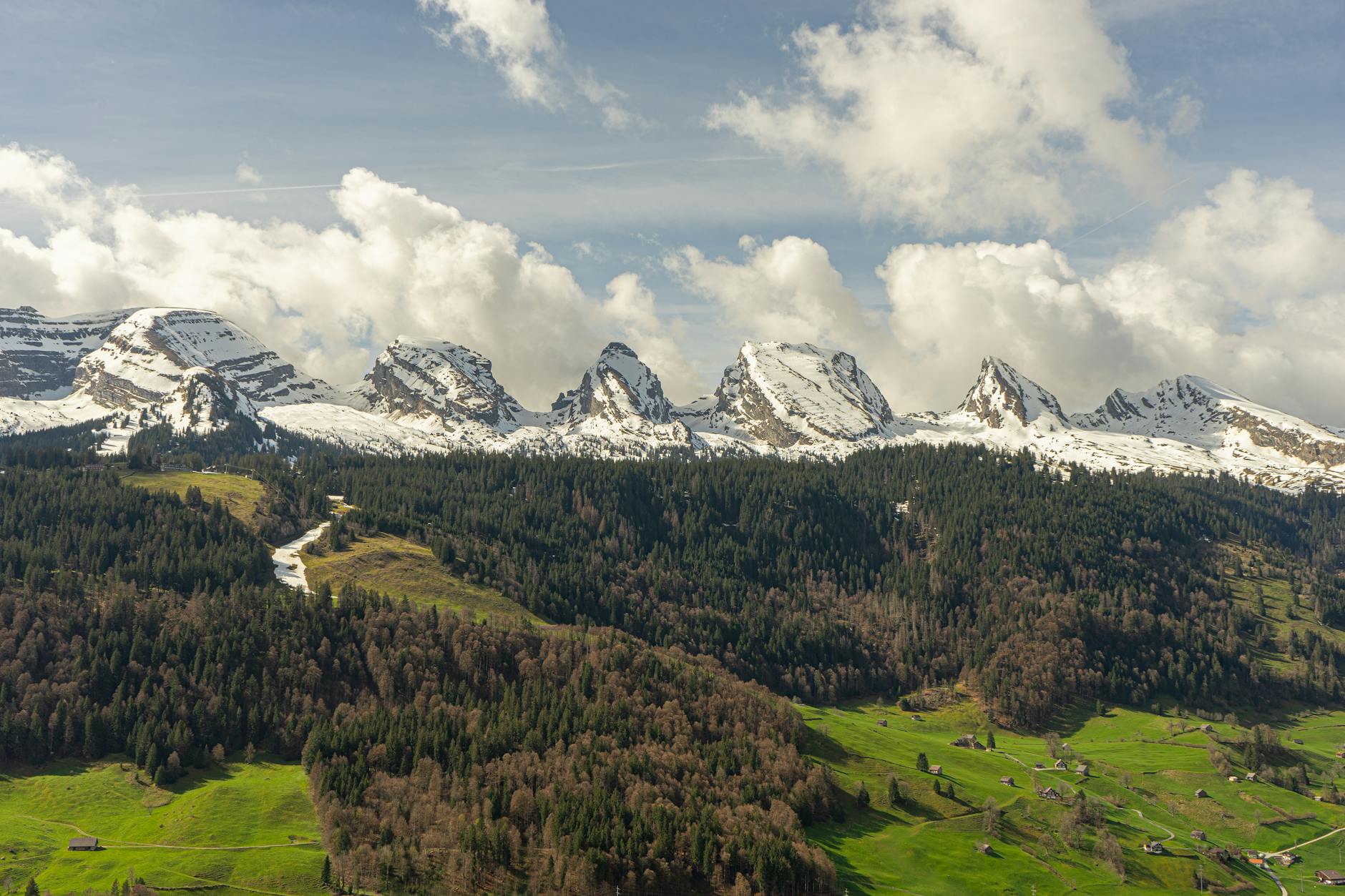 Detailansicht: Falschparken ST Gallen