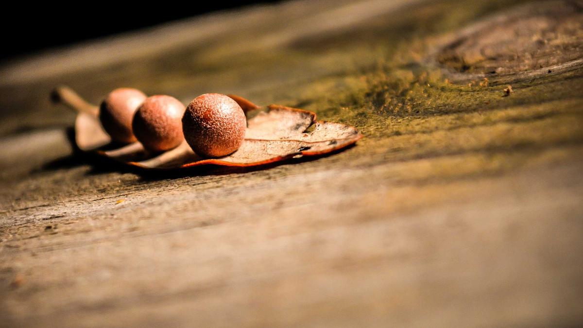 Detailansicht: Falun