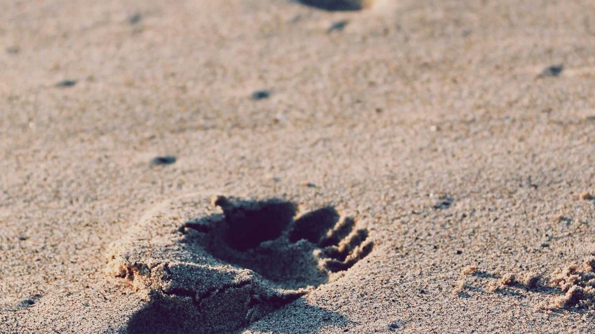 Fantasie Kindliche Entwicklung