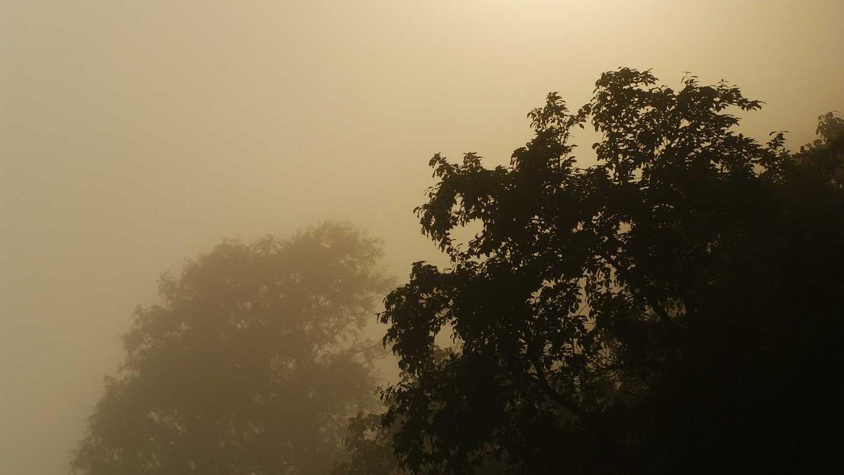 Symbolbild zum Thema Fasnacht Evolène
