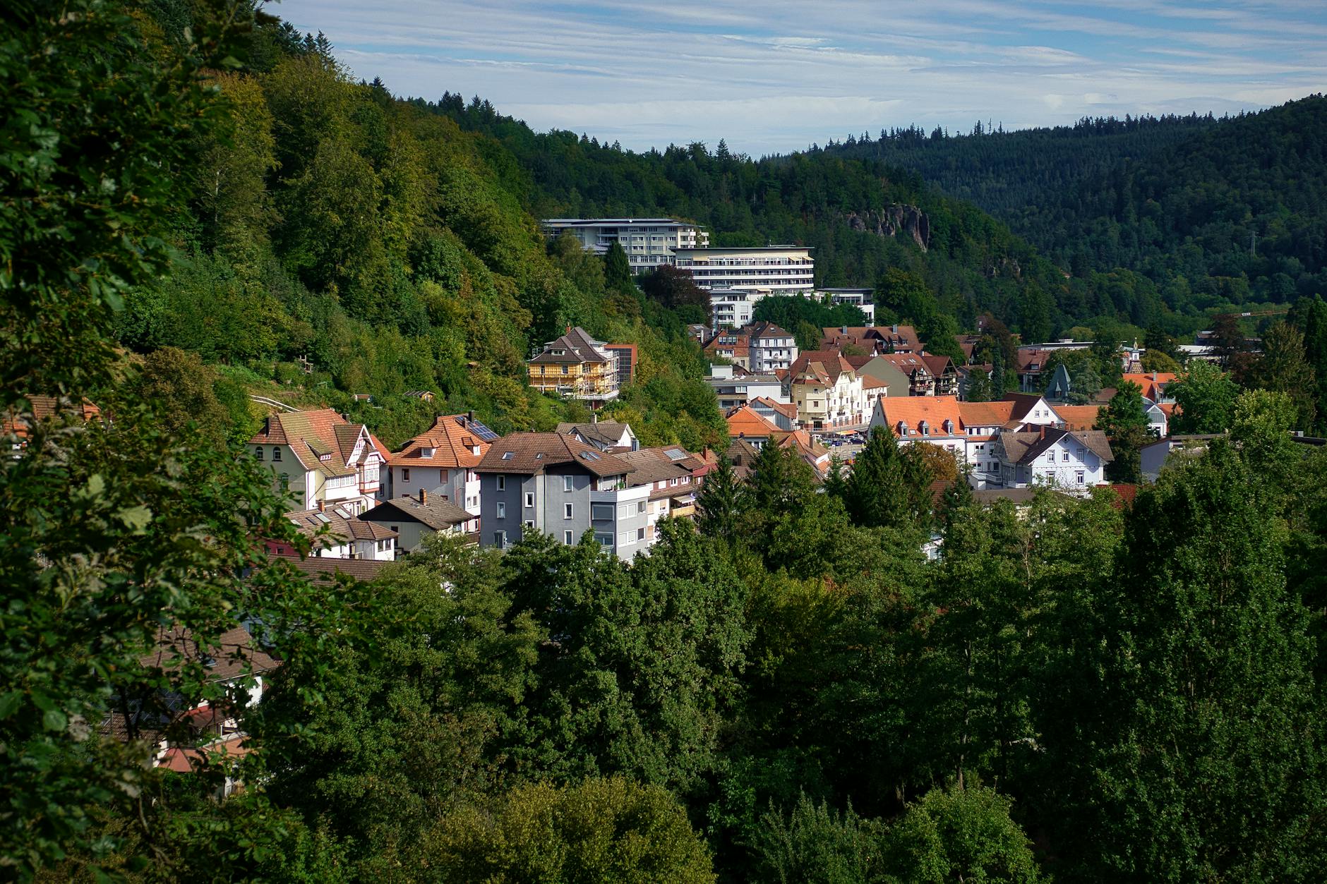 Detailansicht: Fastnacht Baden-baden Vorfall