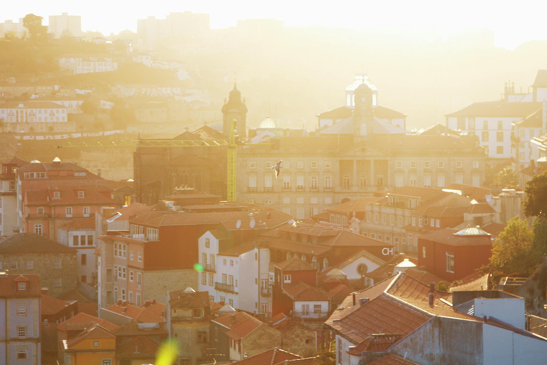 Symbolbild zum Thema FC Porto – VFB Stuttgart