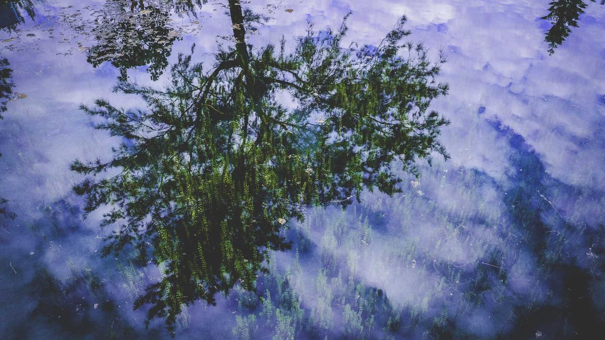 Detailansicht: Festnahme Freiburg