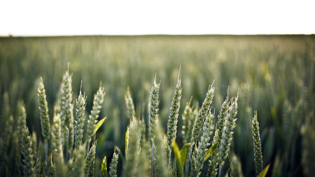 Feuerwehreinsatz Ludwigsburg