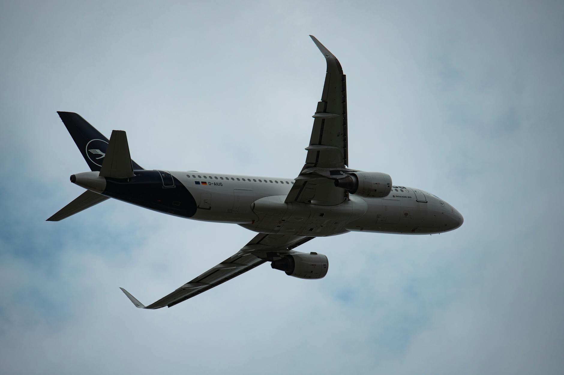 Illustration zu Flughafen Stuttgart Festnahme