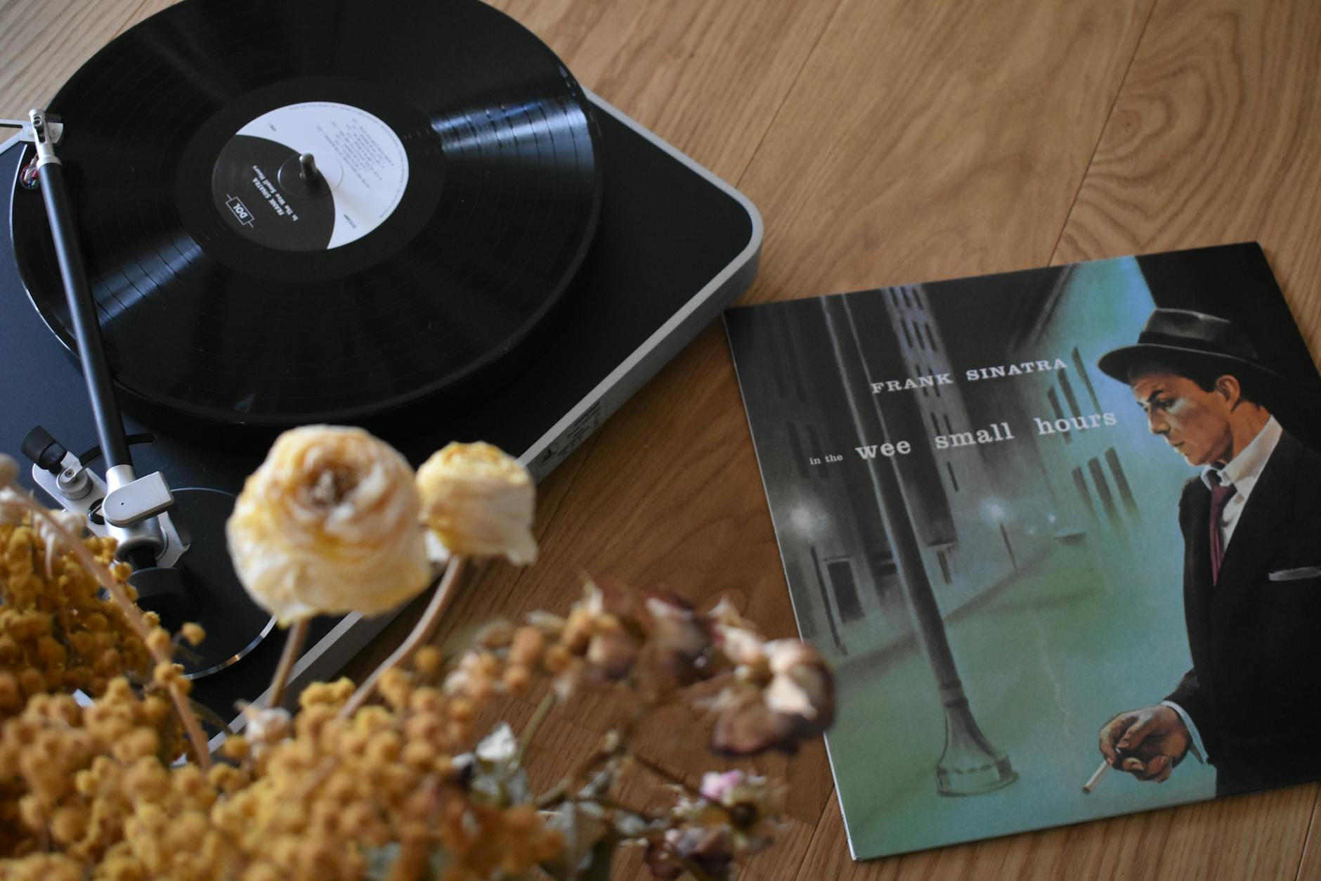 Frank Walter Steinmeier Detailansicht: Frank Walter Steinmeier