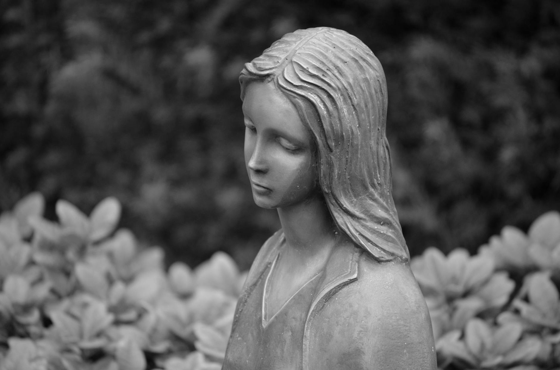 Fregatte Nordrhein Westfalen Illustration zu Fregatte Nordrhein Westfalen