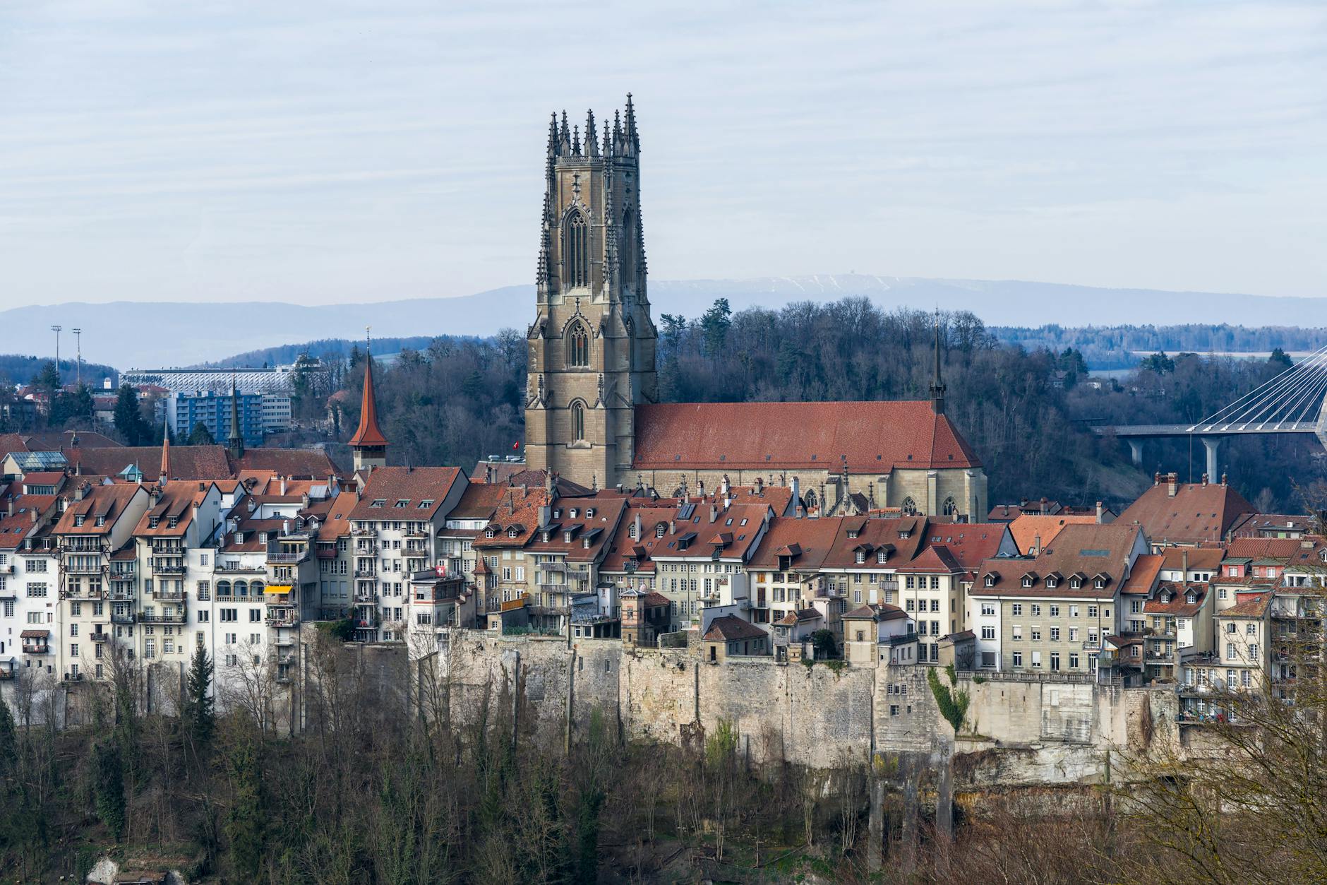 Detailansicht: Fribourg Gotteron