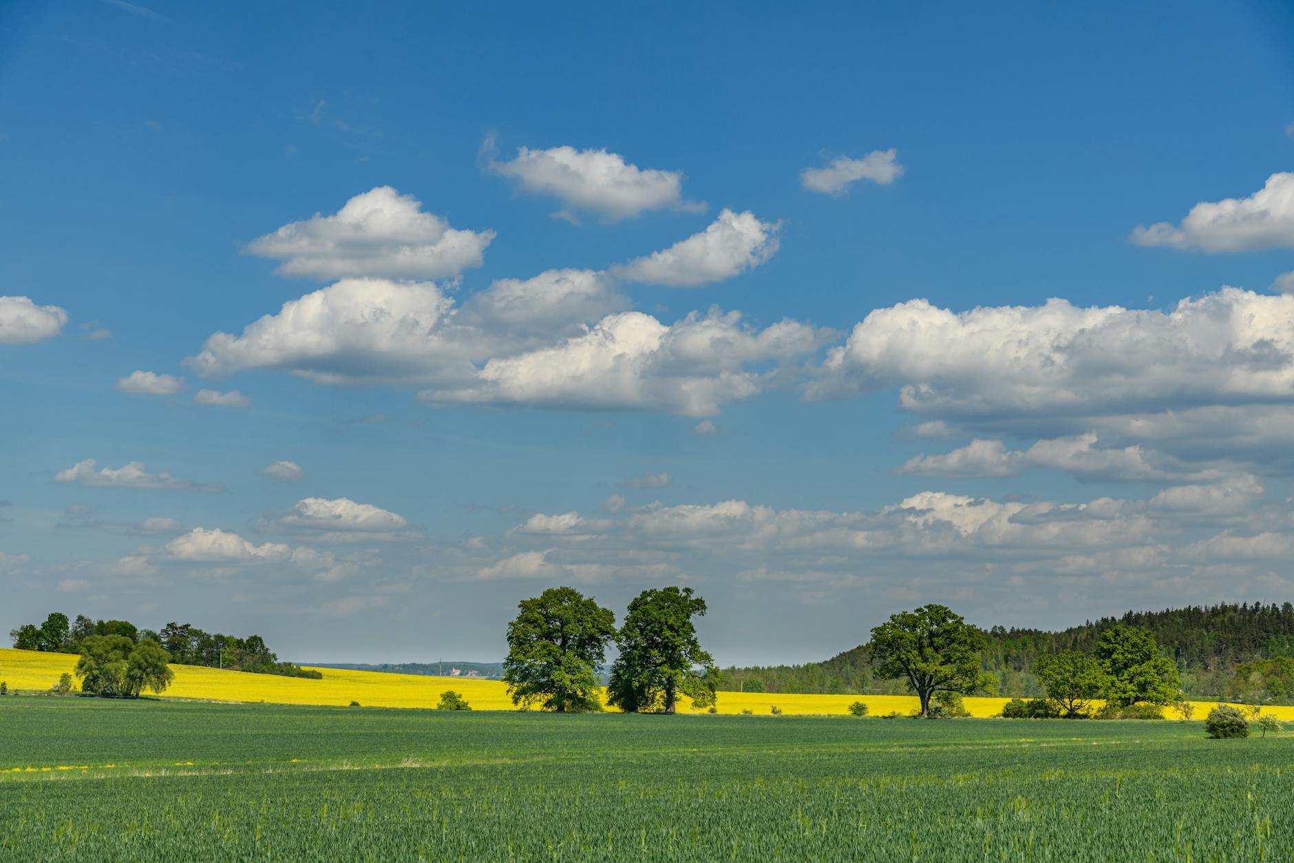 Illustration zu Frühlingswetter Wochenende