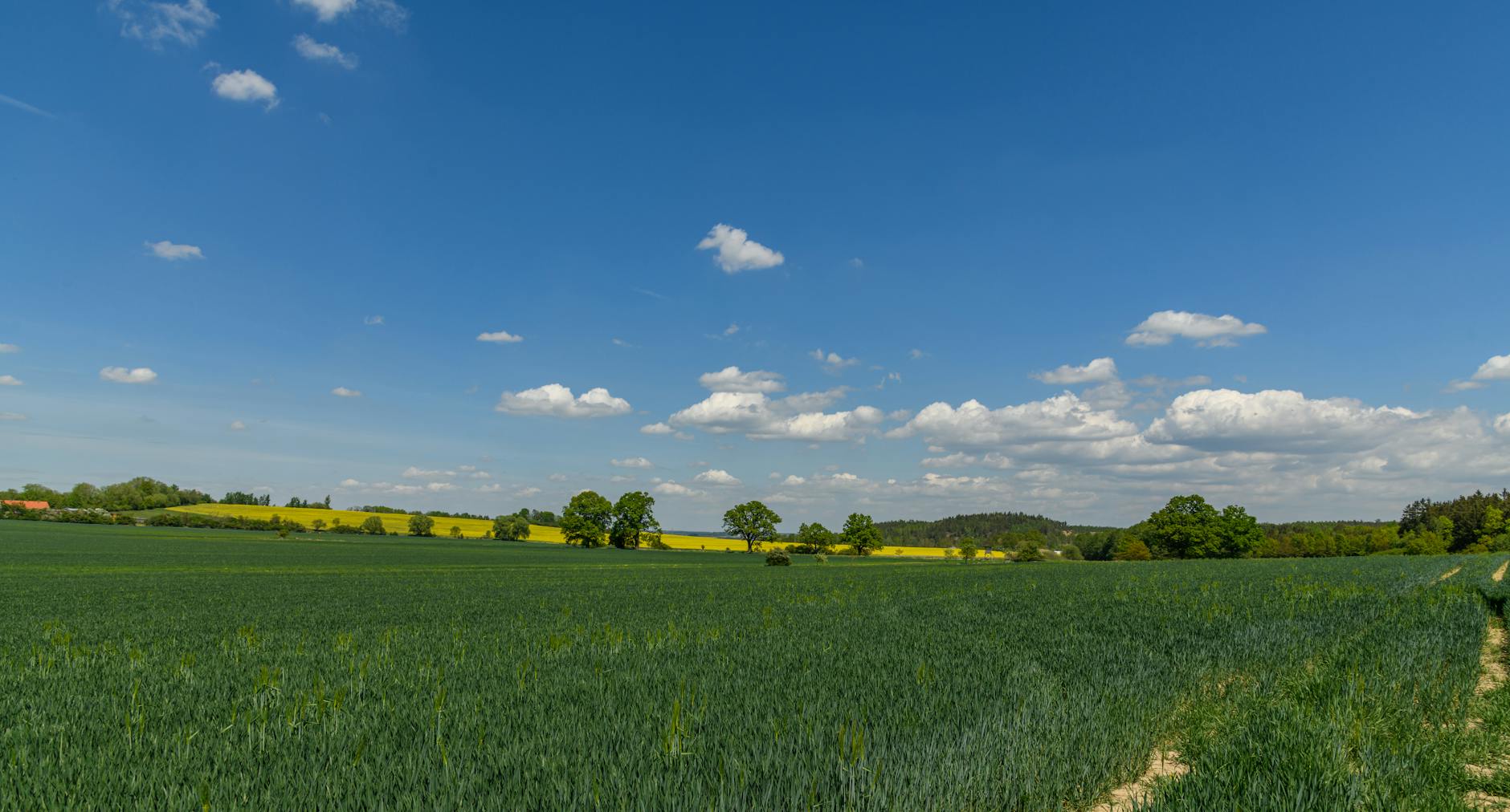 Symbolbild zum Thema Frühlingswetter Wochenende