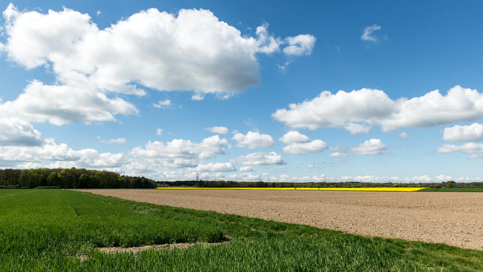 Detailansicht: Frühlingswetter Wochenende