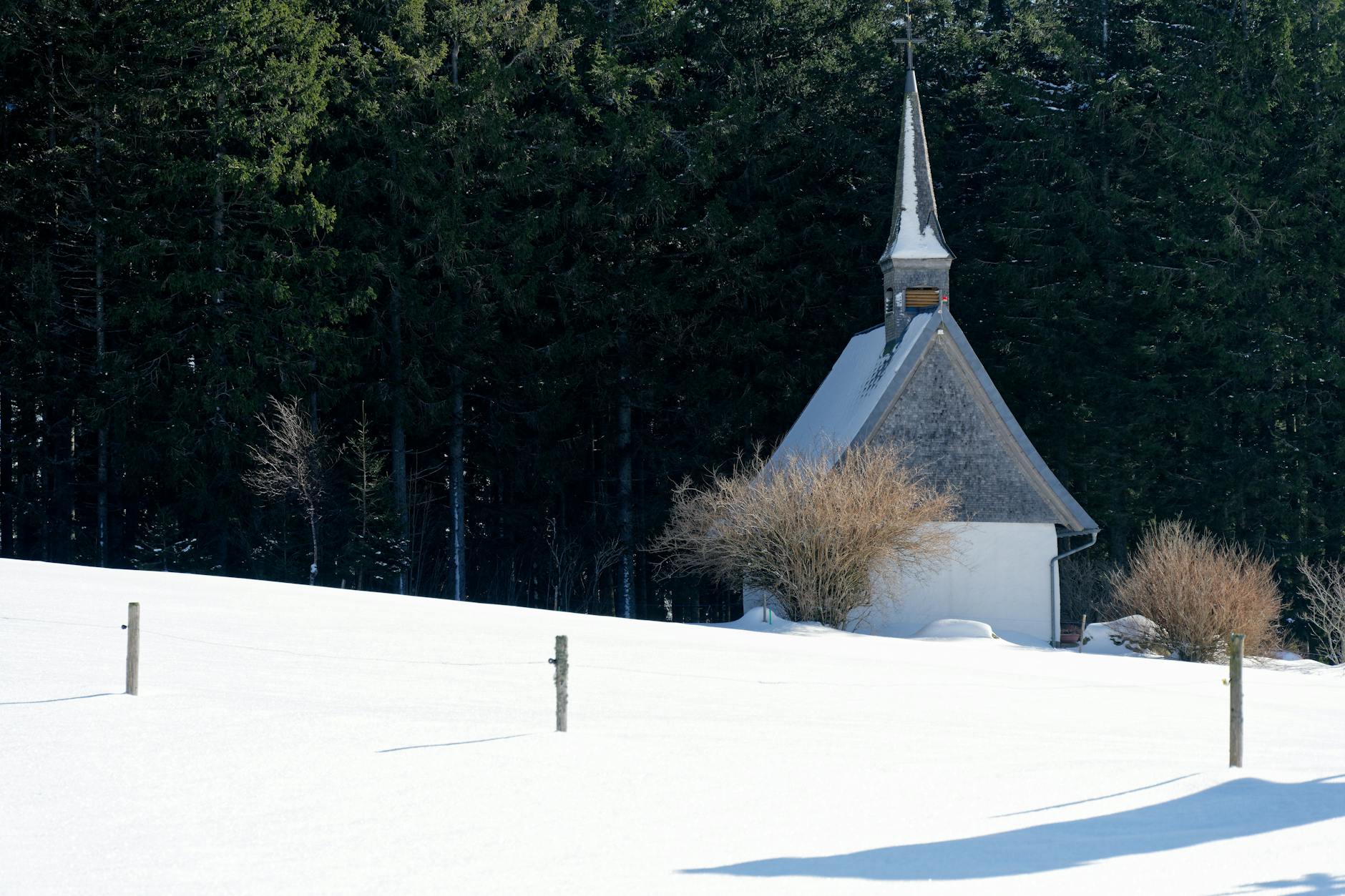 Symbolbild zum Thema Furtwangen Polizeikontrolle