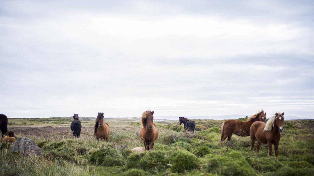 Detailansicht: Fussball Heute