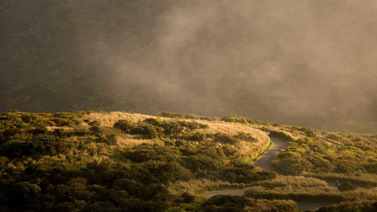 Symbolbild zum Thema Gela Allmann