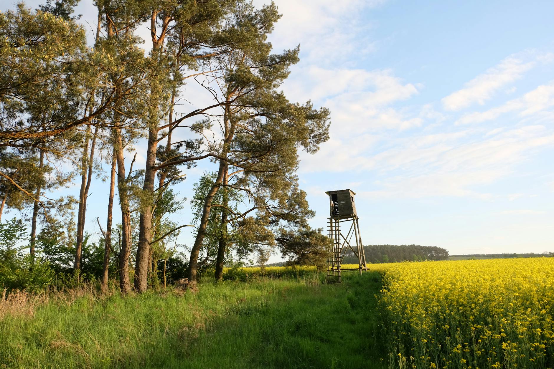 Symbolbild zum Thema Giftköder Bretzfeld