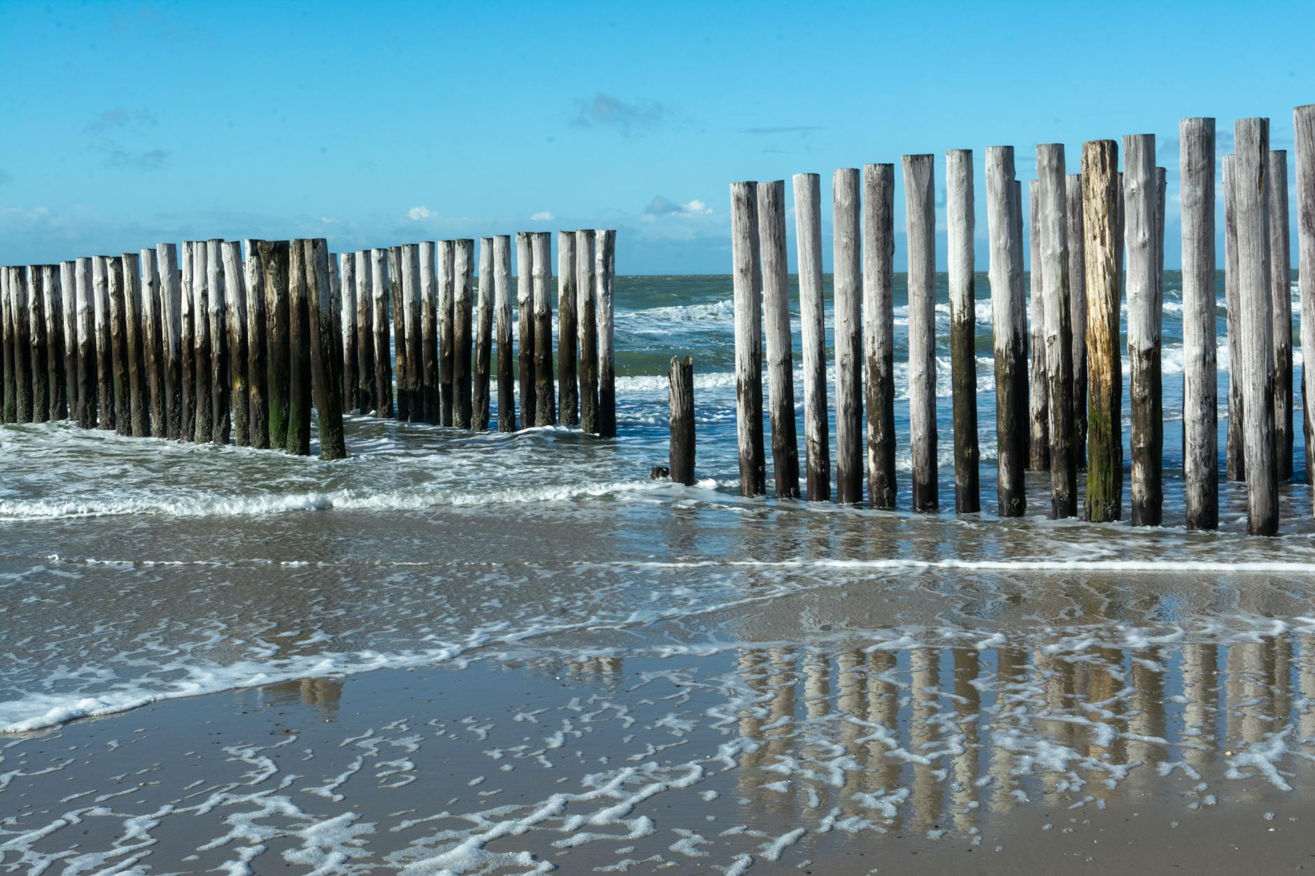 Illustration zu Gilgo Beach Morde