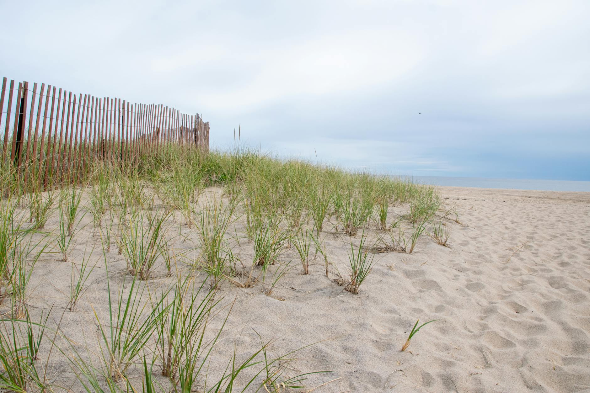 Symbolbild zum Thema Gilgo Beach Morde