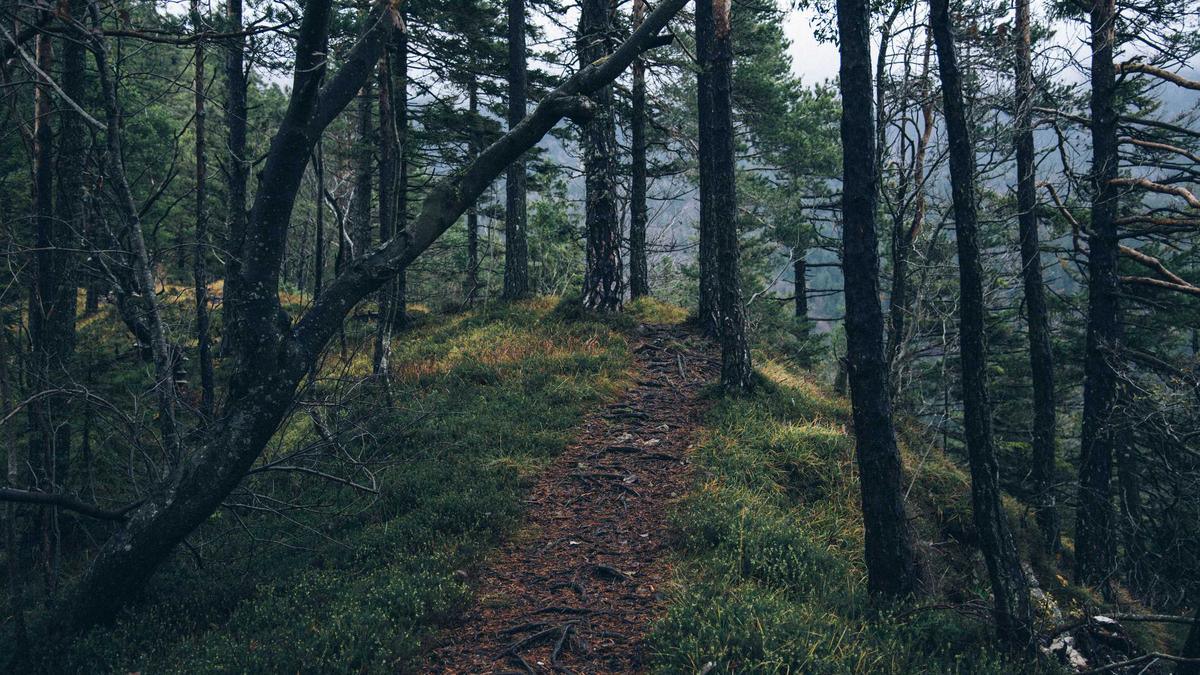 Symbolbild zum Thema Gina Schumacher