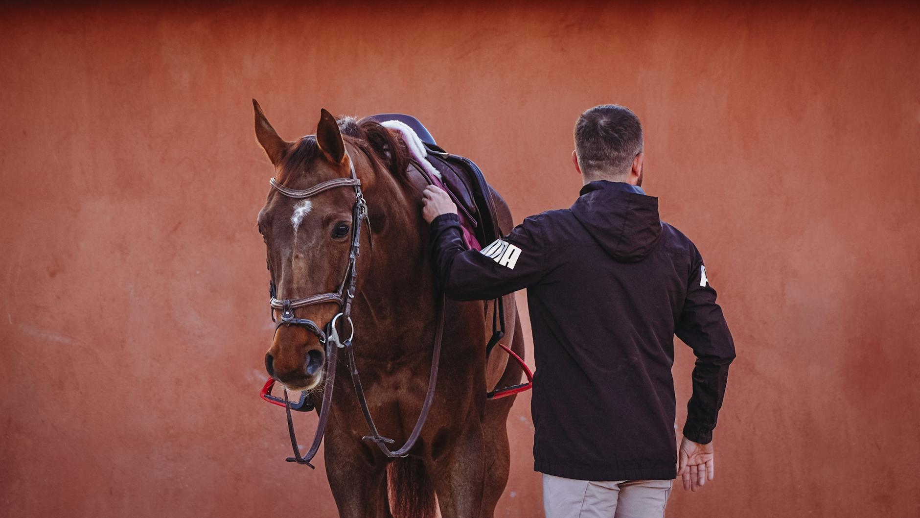 Symbolbild zum Thema Gina Schumacher Pferde
