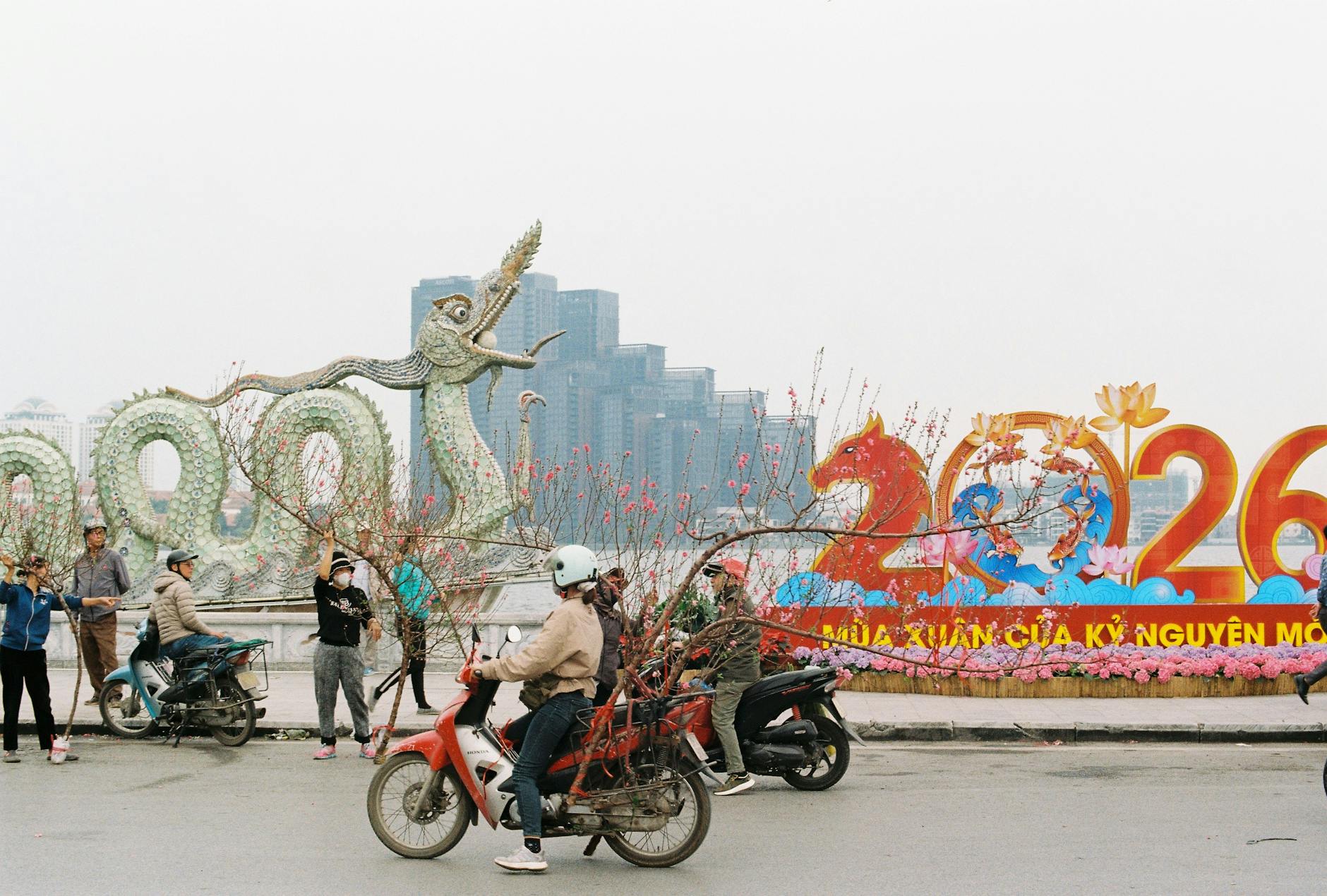 Detailansicht: Giochi Paralimpici Invernali 2026