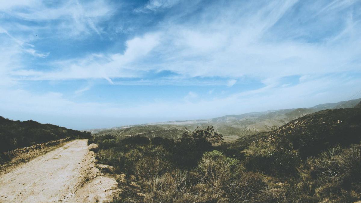 Goretzka Dortmund Symbolbild zum Thema Goretzka Dortmund