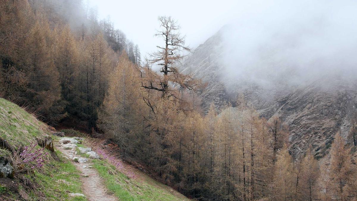 Gotthard Stau Detailansicht: Gotthard Stau
