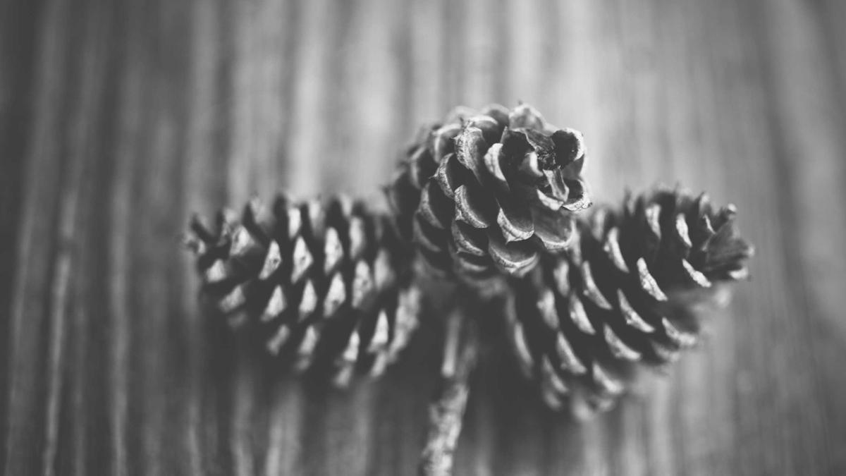 Illustration zu Gotthard Stau Ostern