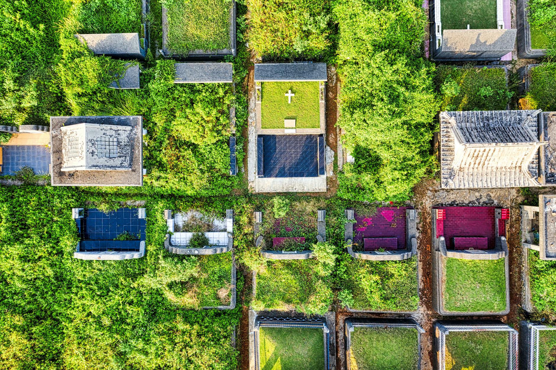 Illustration zu Graveyard Keeper Gratis