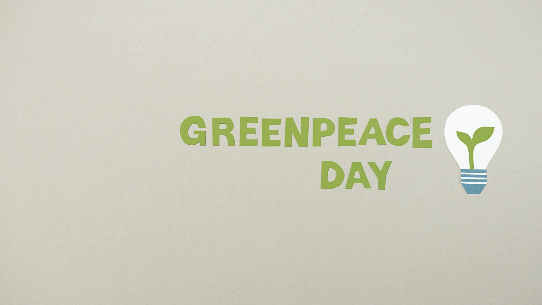 Illustration zu Greenpeace Shein